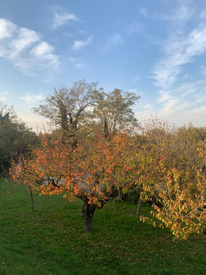 B&B Le Col-Vert Lido di Dante Exteriér fotografie